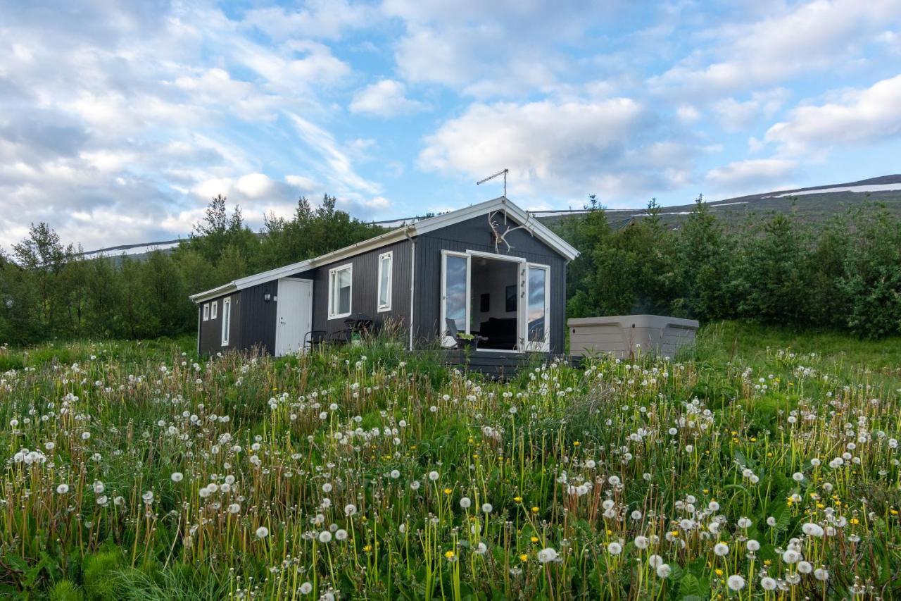 Viking Cottages & Apartments Akureyri Exteriér fotografie
